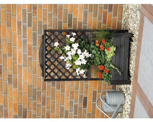 Blumenkasten mit Spalier an einer Backsteinmauer, inklusive Gießkanne.