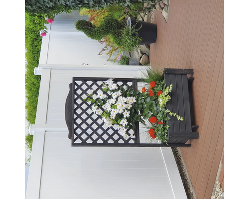 Blumenkasten mit Rankgitter und Blumen auf einer Terrasse