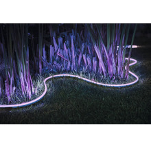 Ruban LED Philips hue Lightstrip Outdoor IP67 RGBW 37,5W 1600 lm L 5 m  compatible avec SMART HOME by hornbach - HORNBACH Luxembourg