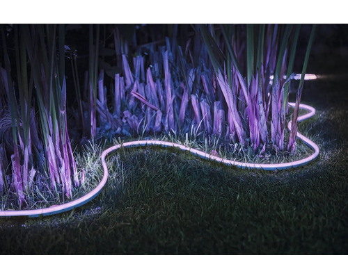Dekorative Lichtleiste im Garten zwischen Pflanzen