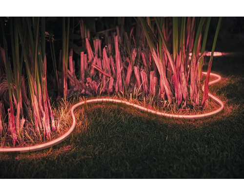 Dekorative Lichtschlange im Garten zwischen Pflanzen