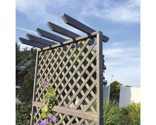 Pergola en bois avec treillis dans le jardin