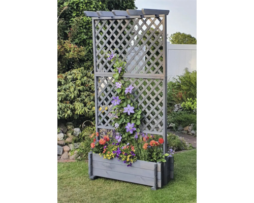 Ttreillis en bois avec jardinière et plantes à fleurs dans le jardin