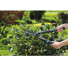 Sécateur de jardin en action pour tailler une haie