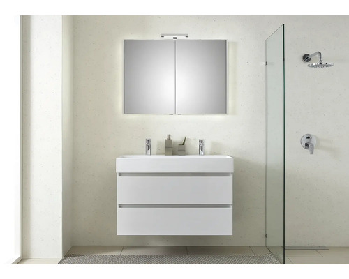 Modernes Badezimmer mit Waschbeckenunterschrank, Spiegelschrank und Dusche