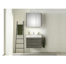 Modernes Badezimmer mit Waschbeckenunterschrank, Spiegelschrank und Handtuchleiter.