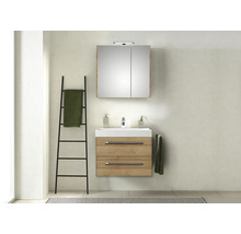 Badezimmer mit Waschtisch, Spiegelschrank und Handtuchleiter
