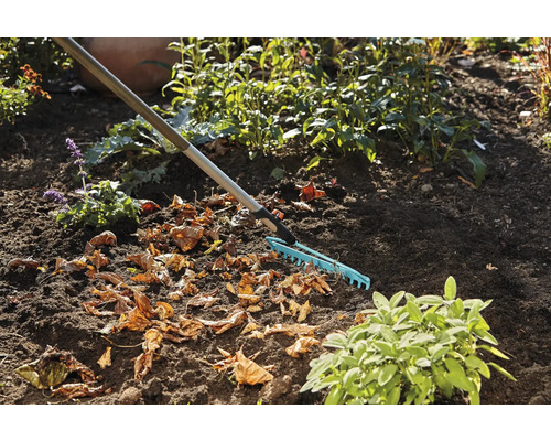 Jardin avec râteau et feuilles d''automne