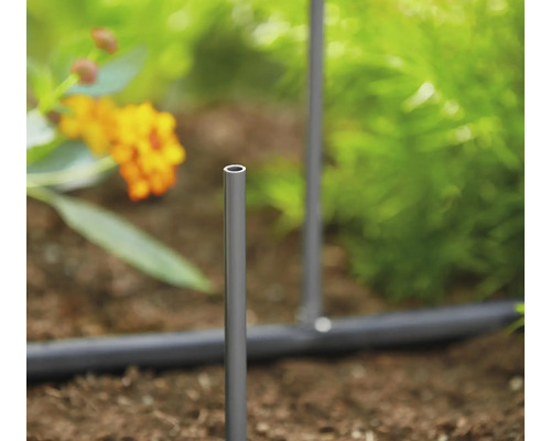 Système d''irrigation dans le jardin