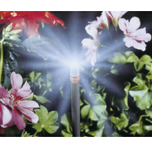 Arrosage de jardin avec asperseur devant des fleurs