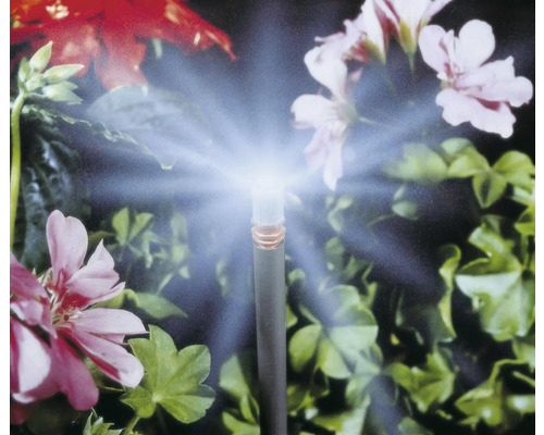 Arrosage de jardin avec asperseur devant des fleurs