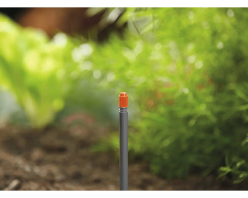 Buse d''irrigation pour l''arrosage du jardin
