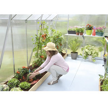 Femme dans une serre soignant des plants de tomates et de la laitue. À l''arrière-plan, des plantes se trouvent sur une étagère.