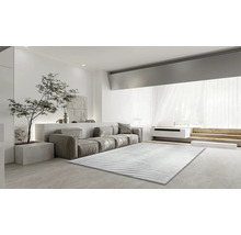 Wohnzimmer mit Sofa, Teppich und Zimmerpflanze