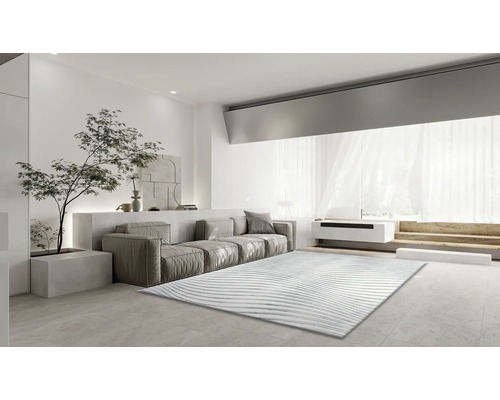 Salon avec canapé, tapis et plante d''intérieur