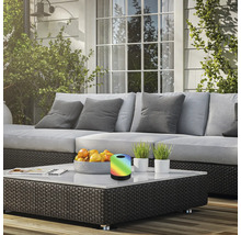 Scène de terrasse avec canapé, table basse, coupe de fruits, plantes en pot et lampe de table à changement de couleur.