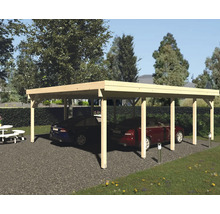 Double carport en bois avec deux voitures