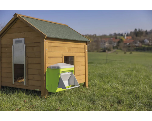 Poulailler avec distributeur automatique de nourriture dans un pré