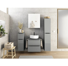 Modernes Badezimmer mit Waschtisch, Spiegelschrank und Hochschrank in Grau