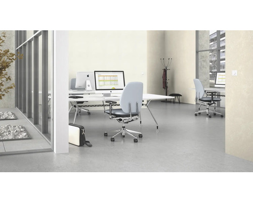 Büro mit Schreibtischen, Bürostühlen und Computern in einem hellen Raum