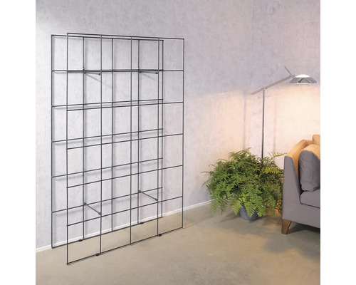 Système d''étagères noir dans le salon