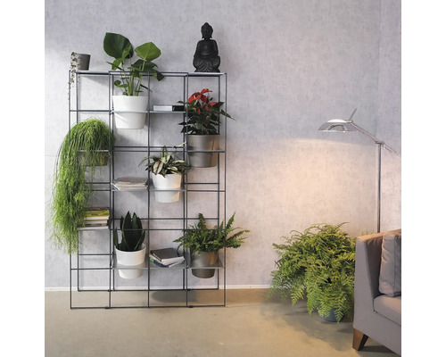 Vue d''une pièce avec une étagère en métal, des plantes en pot et une statue de Bouddha