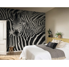 Chambre avec un papier peint photo à motif zébré, un lit et un tabouret en bois.
