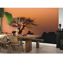 Salon avec papier peint photo représentant un arbre au coucher du soleil, une table à manger et des chaises