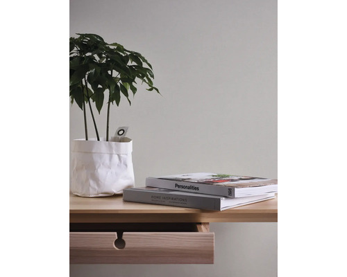 Dekoratives Interieur mit Pflanze im Topf, Büchern und einer Holzkommode.