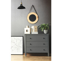 Graue Kommode mit drei Schubladen, Lampe, Spiegel, Dekorationen und Pflanzen in einem Zimmer