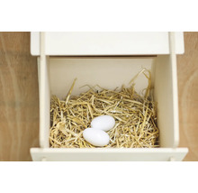 Nichoir avec nid et deux oeufs