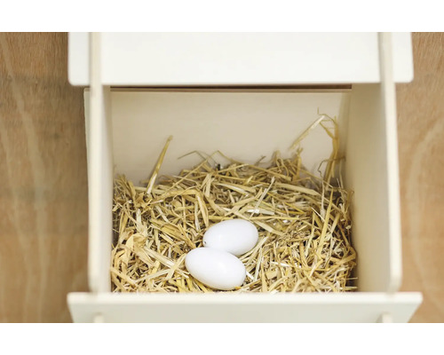 Nichoir avec nid et deux oeufs