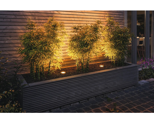 Bambou illuminé dans un bac à plantes devant un mur en bois