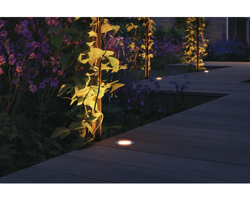 Gartenweg mit eingelassenen Leuchten und Pflanzen