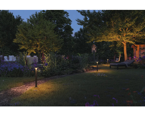 Jardin illuminé avec luminaires d''extérieur, meubles de jardin et plantes la nuit.