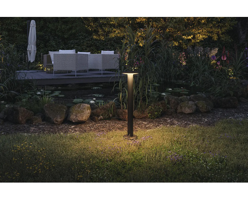 Lampe de jardin éclairant une pelouse au crépuscule.