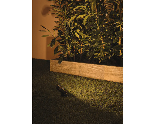 Spot de jardin éclairant les plantes dans un parterre