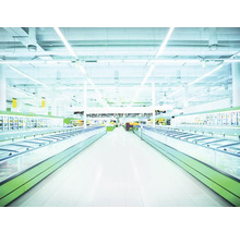 Vue intérieure d''un supermarché lumineux avec des congélateurs