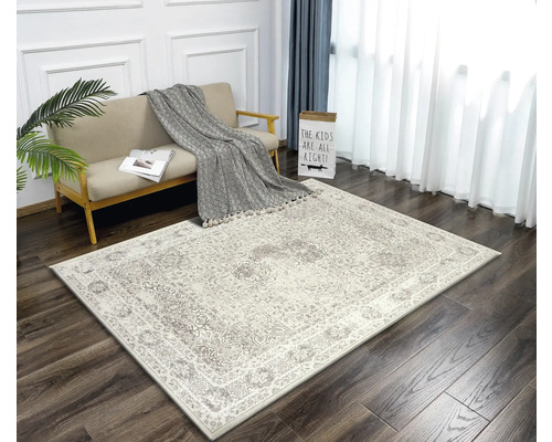 Tapis à motifs orientaux dans le salon