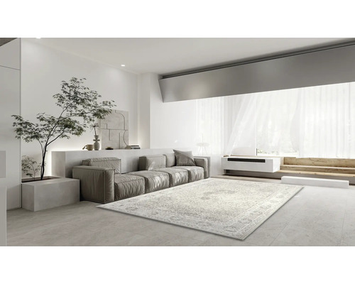 Salon lumineux avec tapis à motifs, canapé et plante d''intérieur