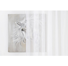 Tableau avec motif de cheval et rideau