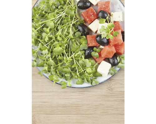 Assiette avec cresson, pastèque, olives et fromage