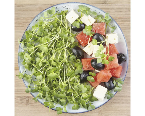 Pastèque, feta, olives et micro-pousses dans une assiette