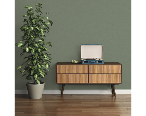 Wohnzimmer mit Zimmerpflanze, Schallplattenspieler und Kommode