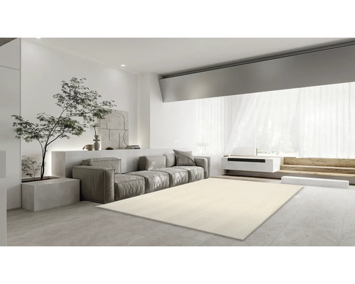 Salon lumineux avec canapé, arbre et tapis