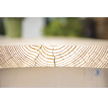 Gros plan d''une planche de bois avec cernes annuels et fissures visibles