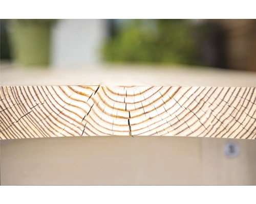 Planche en bois avec anneaux de croissance