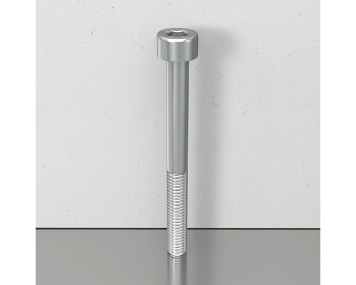 Eine einzelne Zylinderschraube mit Innensechskant