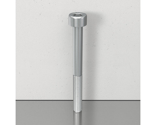 Eine einzelne Innensechskantschraube