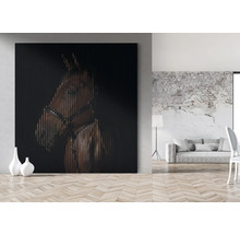 Grande image murale avec portrait de cheval dans un salon moderne